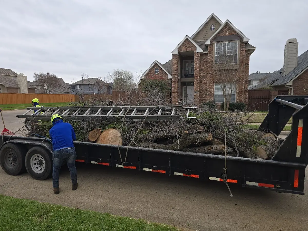 Expert Tree Fertilization with proper safety equipment in Lilly
